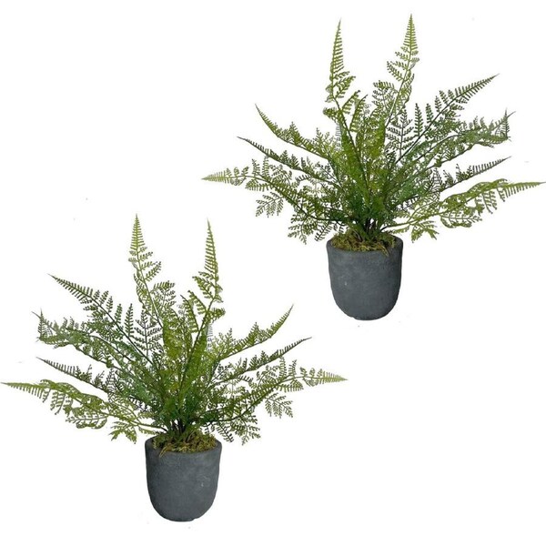 Glamorous Fusion Set Of 2 Potted Ruffle Fern Artificial Faux Plant Decorative Green