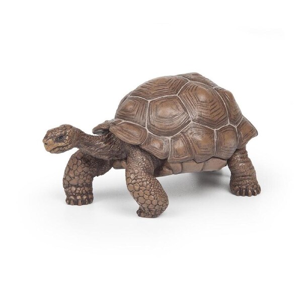 Papo - Galöpagos tortoise Figurine