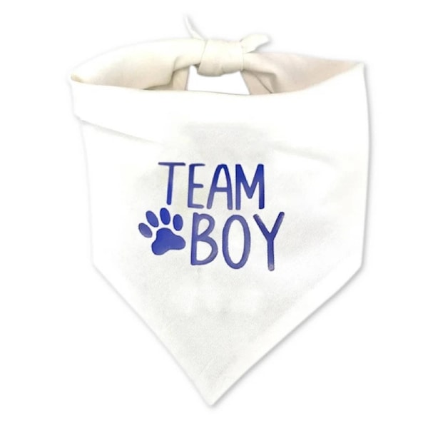 Team Boy Dog Bandana Blue Gender Reveal Baby Shower Party Decoration Photo Prop