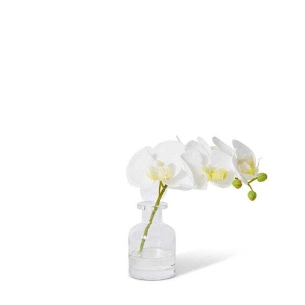 E Style 25cm Plastic Phalaenopsis Orchid in Vase Artificial Faux Flower WHT