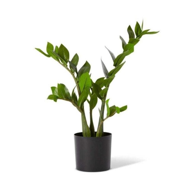 E Style 57cm Zanzibar Potted Artificial Plant Fake/Faux Home Decor Green