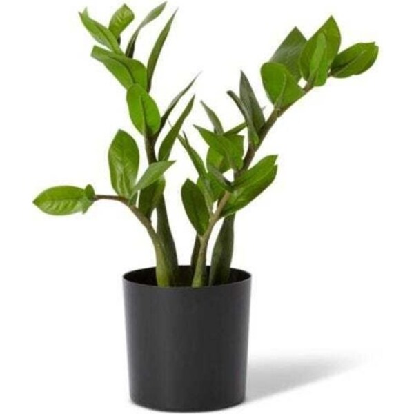 E Style 32cm Zanzibar Artificial Potted Plant Fake/Faux Home Decor Green