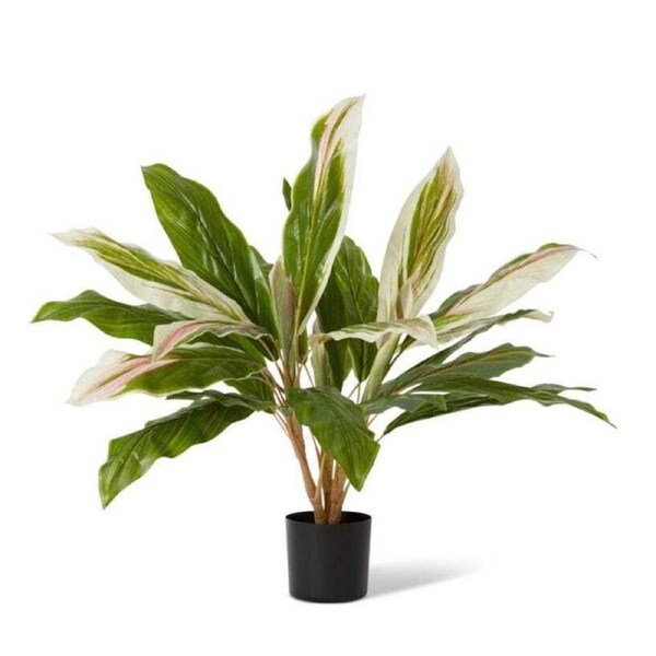 E Style 71cm Cordyline Potted Artificial Plant Fake/Faux Decor Green/Pink