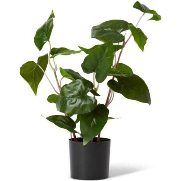 E Style 54cm Philo Wild Artificial Potted Plant Fake/Faux Home Decor Green