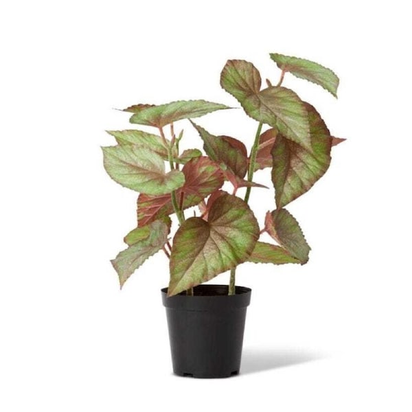 E Style 59cm Begonia Potted Artificial Plant Fake/Faux Home Room Decor Green