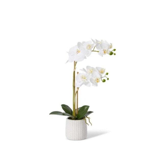 E Style 50cm Plastic Phalaenopsis Orchid Ribbed Pot Artificial Flower White