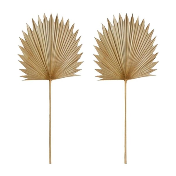 2x E Style Decorative 103cm Sun Fan Palm Dried Stem Home Room Decor Natural