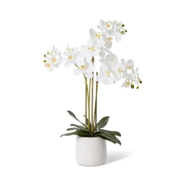 E Style 60cm Plastic Phalaenopsis Ribbed Pot Artificial Flower White/Cream
