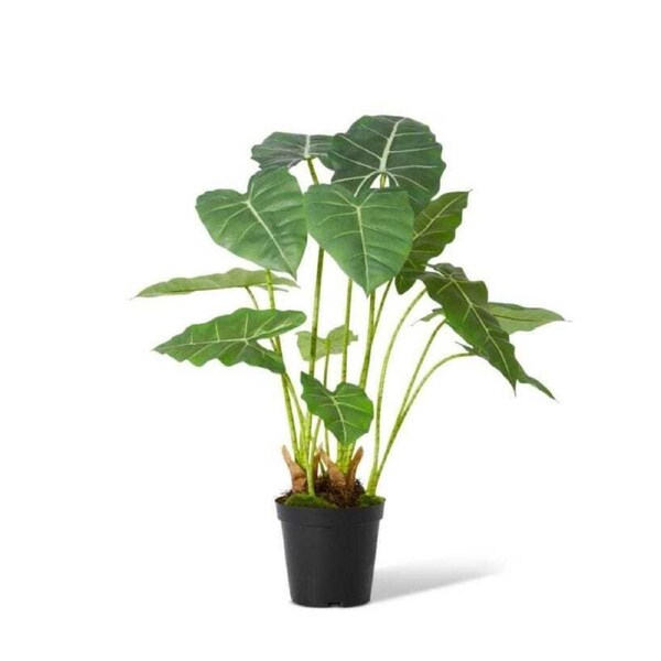 E Style 70cm Alocasia Frydek Potted Artificial Plant Fake/Faux Decor Green