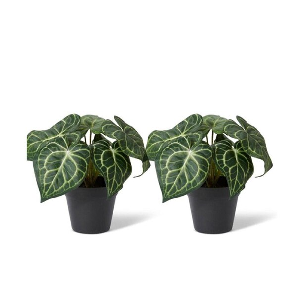 2x E Style 24cm Anthurium Artificial Potted Plant Fake/Faux Home Room Decor