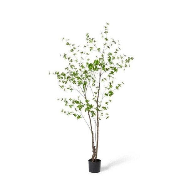 E Style 210cm Pieris&nbsp;Tree Artificial Plant Fake/Faux Home Decor Dark Green