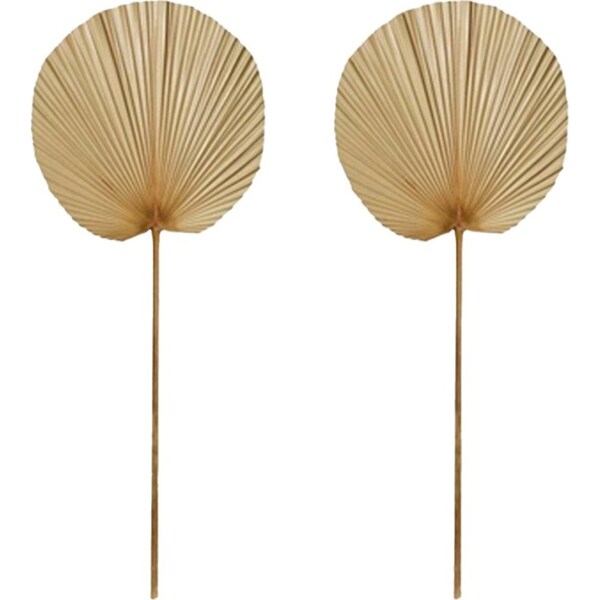 2x E Style Decorative 96cm Fan Palm Dried Stem Home Room Plant Decor Natural