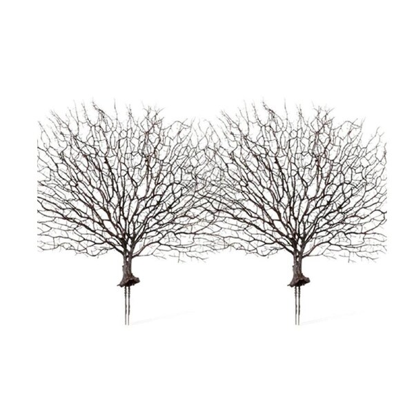 2x E Style Artificial 48cm Plastic Coral Fan Sea Plant Fake Faux Decor Brown