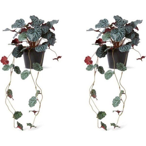 2x E Style 56cm Saxifraga Artificial Potted Hanging Plant Faux Home Decor