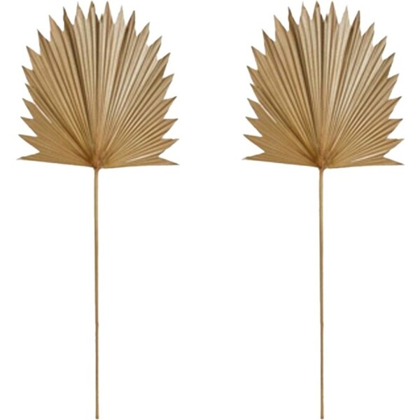 2x E Style Decorative 96cm Sun Fan Palm Dried Stem Home Room Decor Natural