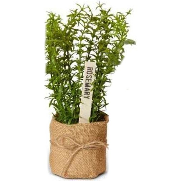 E Style 25cm Plastic Herbs in Burlap Artificial Faux Decor Plant Assort