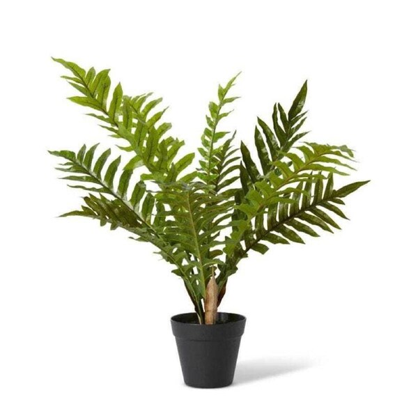 E Style 66cm Fern Hares Foot Potted Artificial Plant Fake/Faux Decor Green
