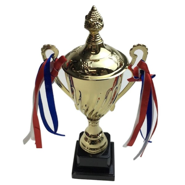 30cm TROPHY CUP Sport Award Football School Table Tennis Gold Winner