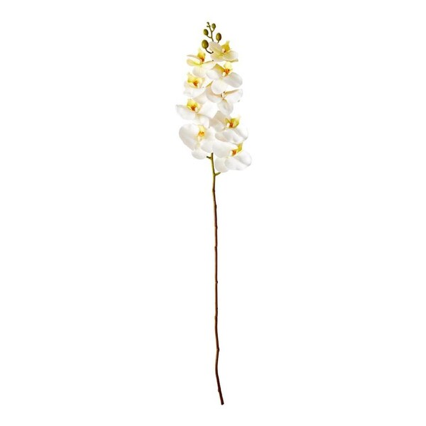 MyHouse Orchid Stem - White