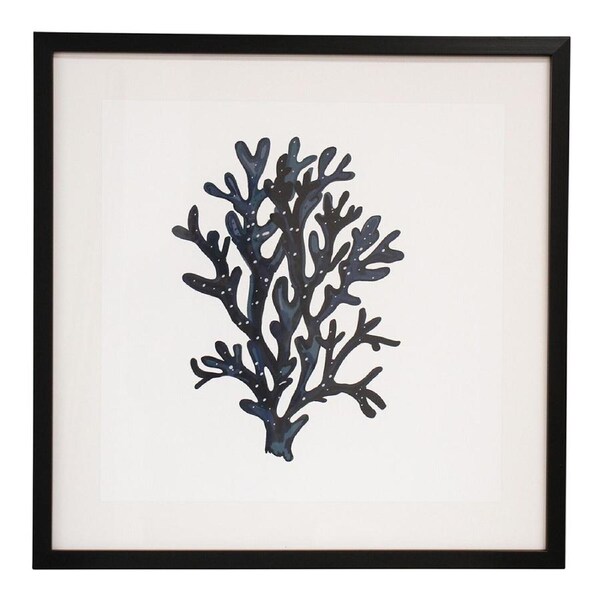 Framed Glass/Resin 50x50cm Print Sea Fan 2 Wall Hanging Art Decorative Display