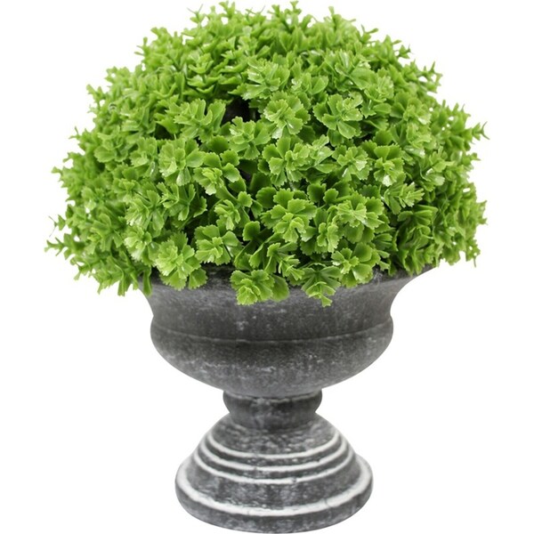 Potted 23cm Formal Fern Moss Artificial Faux/Fake Plant Home Garden Decor Green