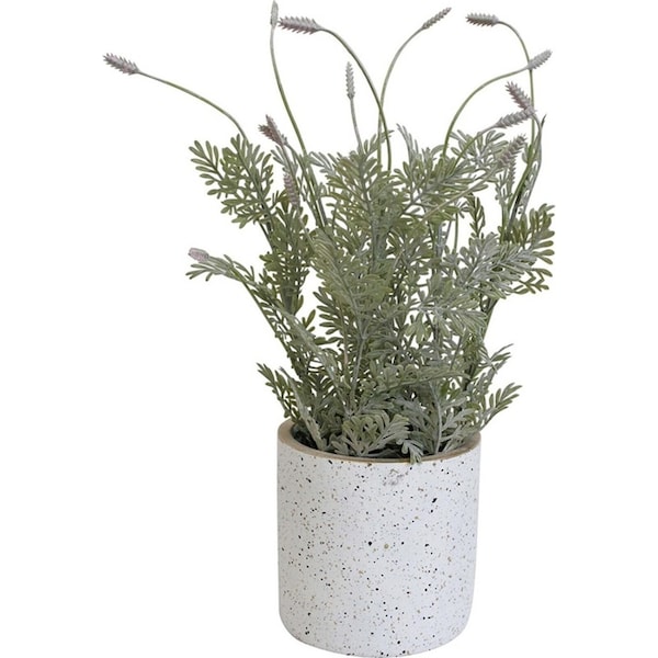 Potted Plastic/Foam 30cm Garden Fern Artificial Faux/Fake Plant Home Room Decor