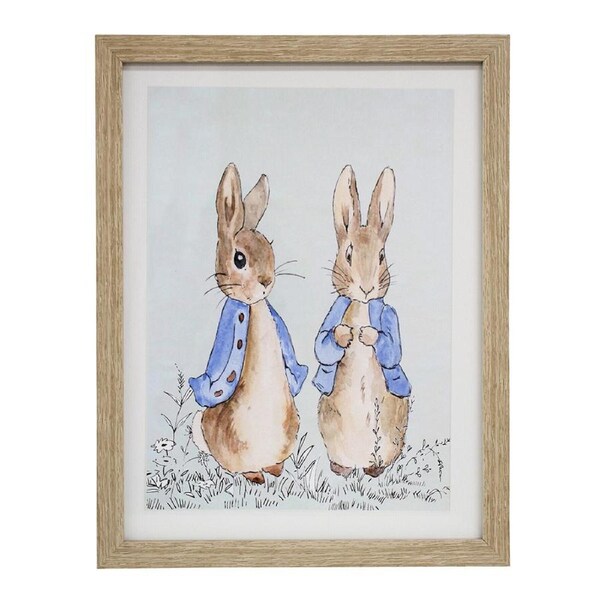 Framed Glass/Resin 35x45cm Print Peter Rabbit Wall Hanging Art Decor Display
