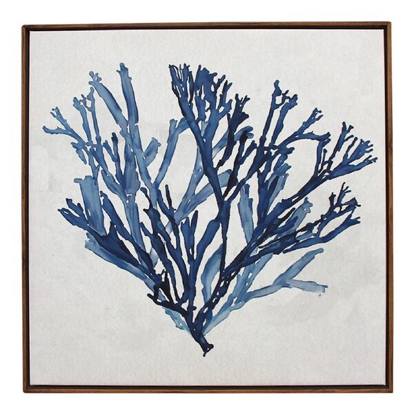 Framed Canvas/Resin 50x50cm Coral 3 Wall Hanging Art Decorative Home Display