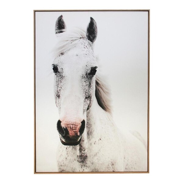 Framed Canvas/Resin 72x102cm Brumby Wall Hanging Art Decorative Home Display