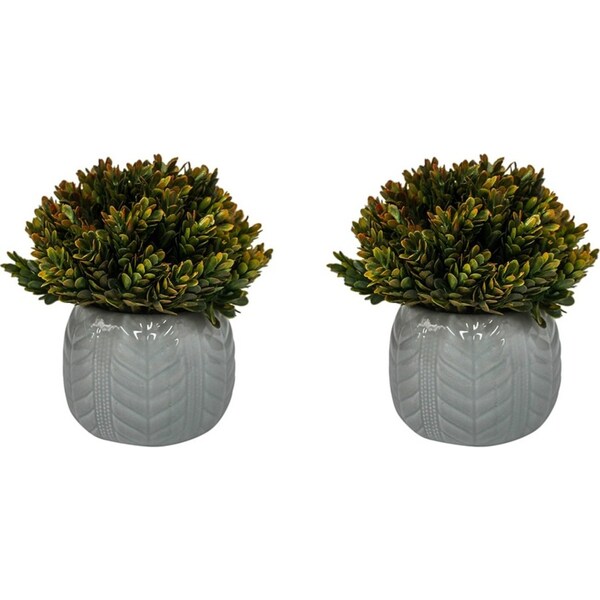 2x Potted 17cm Formal Moss Small Artificial Faux Plant Home Garden Decor Red