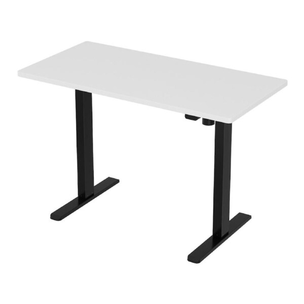 Artiss Electric Standing Desk Motorised Sit Stand Computer Desks 120/140CM 140CM Black??hite