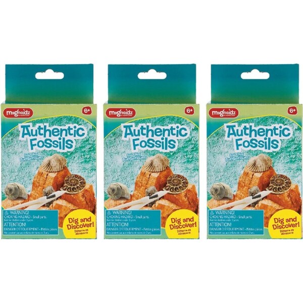 3x Magnoidz 16cm Dig & Discover Authentic Fossil Kit Kids Fun Educational Toy 6+