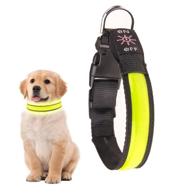 50cm USB Rechargeable Light-up LED Pet Collar
