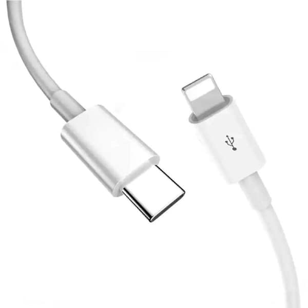 BDI Fast Charging Type-C Cable for Apple iPhone(1m)