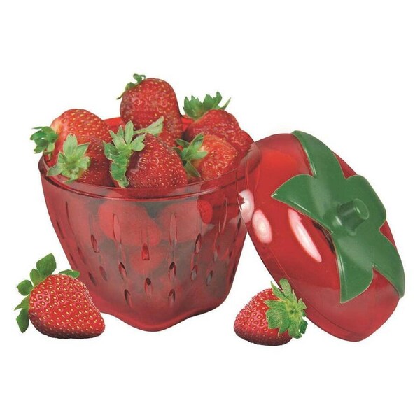 Avanti Kitchenworks Strawberry Saver Kitchen Storage Container Fresh Keeper Red