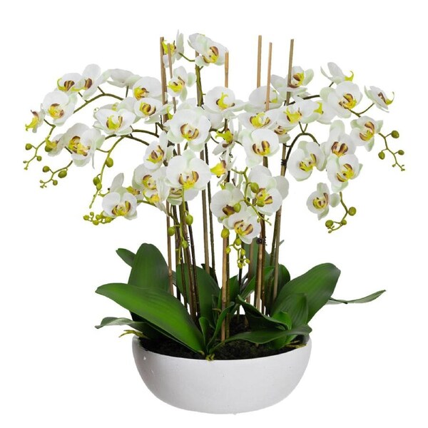 Glamorous Fusion Apple Green Phal Orchid White Artificial Faux Plant Decorative Arrangement In Pot