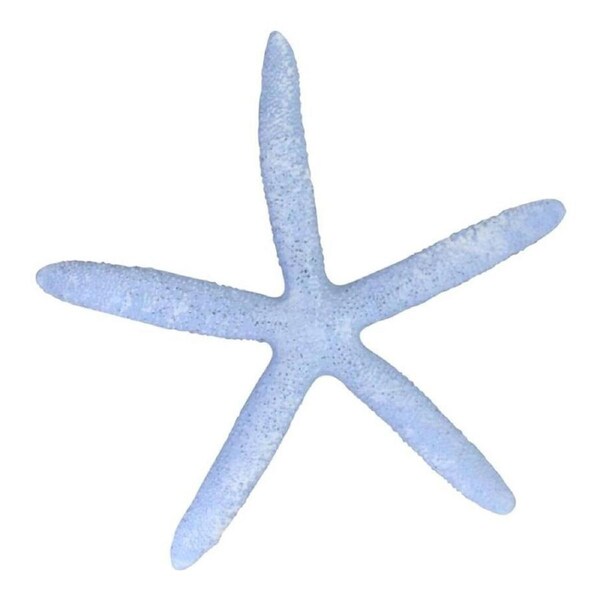 Decorative Resin 13cm Starfish Sculpture Figurine Display Tabletop Decor Blue