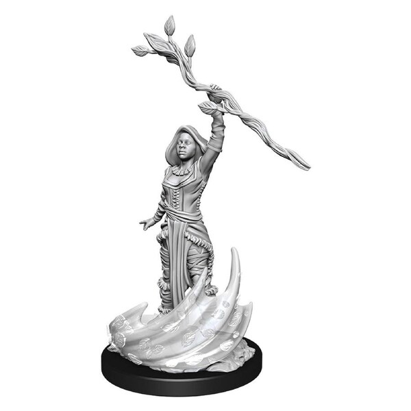 D&D Nolzurs Marvelous Unpainted Miniatures Human Druid Female