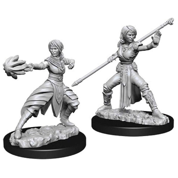 D&D Nolzurs Marvelous Unpainted Miniatures Female Half Elf Monk