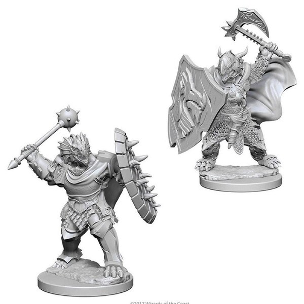 Dungeons & Dragons - Nolzurs Marvelous Unpainted Minis: Dragonborn Male Paladin