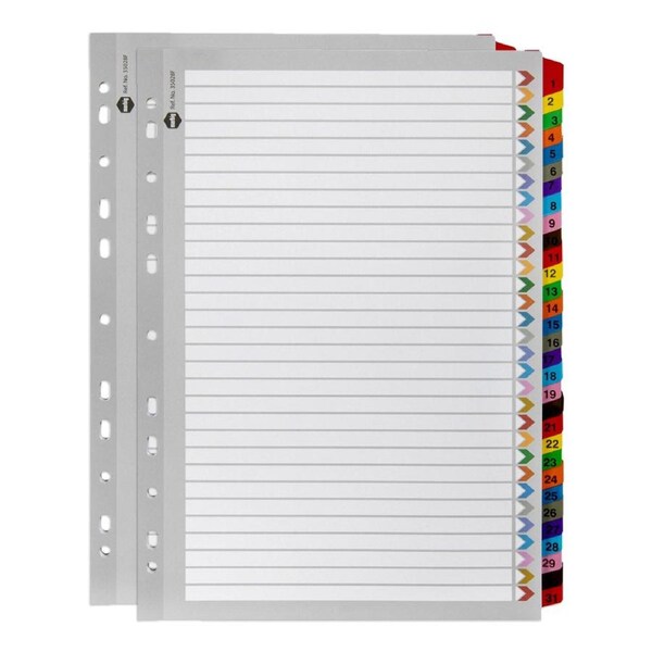 2x Marbig 1-31 Tab Coloured A4 Ring Binder Plastic Divider File/Page Organiser