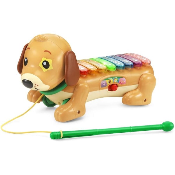 VTech Zoo Jamz Doggy Xylophone