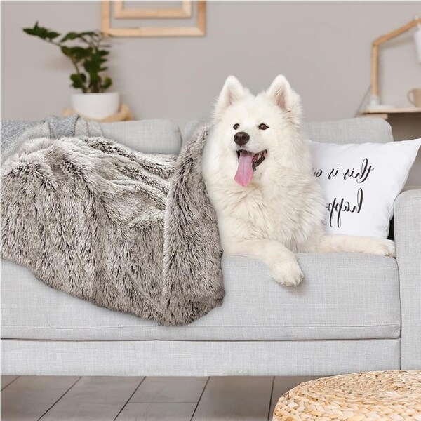 Pawz Dog Blanket Pet Cat Mat Puppy Warm Soft Plush Washable Reusable Large Brown