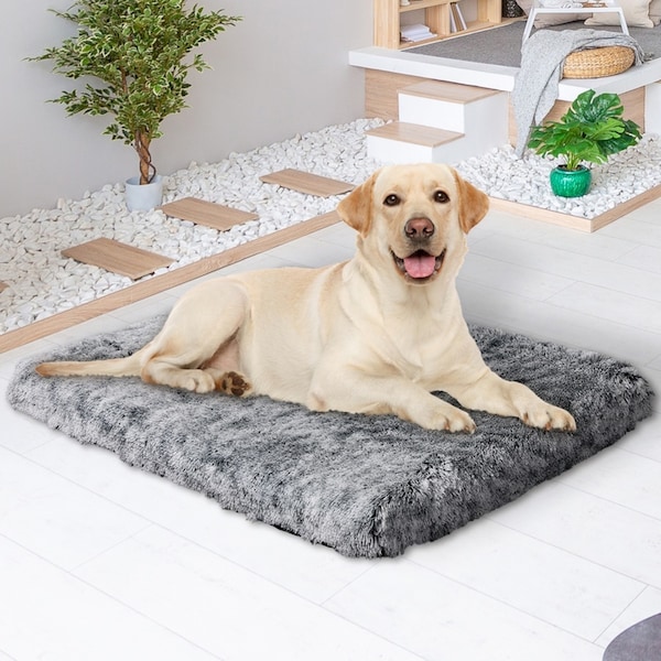 Pawz Dog Mat Pet Calming Bed Memory Foam Orthopedic Removable Cover Washable L