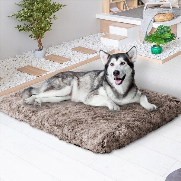 Pawz Dog Mat Pet Calming Bed Memory Foam Orthopedic Removable Cover Washable XL