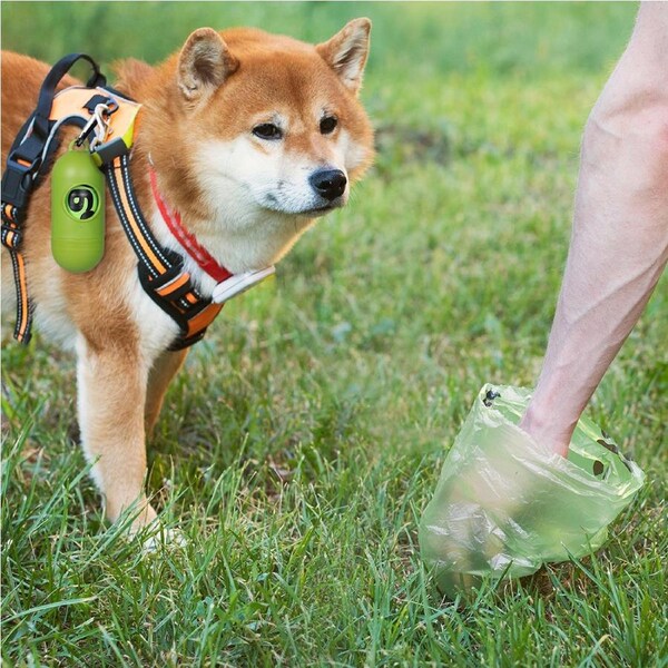 Pawz 100% Compostable Biobased Dog Poop Bag Puppy Holder Dispenser Clean 360 Pcs