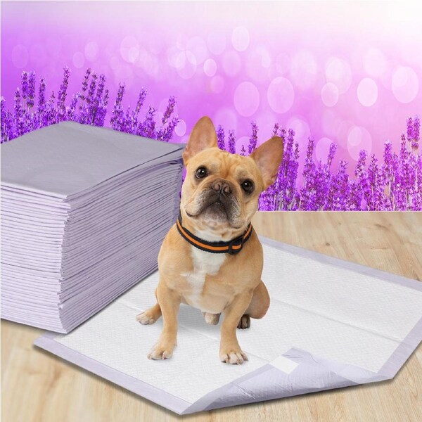 200 Pcs 60x60cm PaWz Pet Training Pads Absorbent