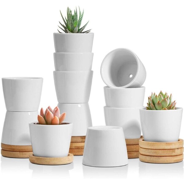 Small White Succulent Planter Pots Set with Bamboo Tray - Set of 12