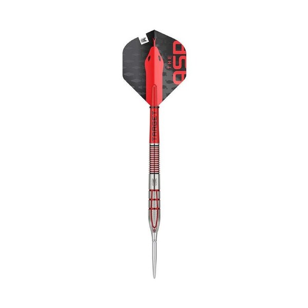 Target Nathan G2 Aspinall 95% Tungsten Barrel Darts Steel Tip 23g Sports Shaft