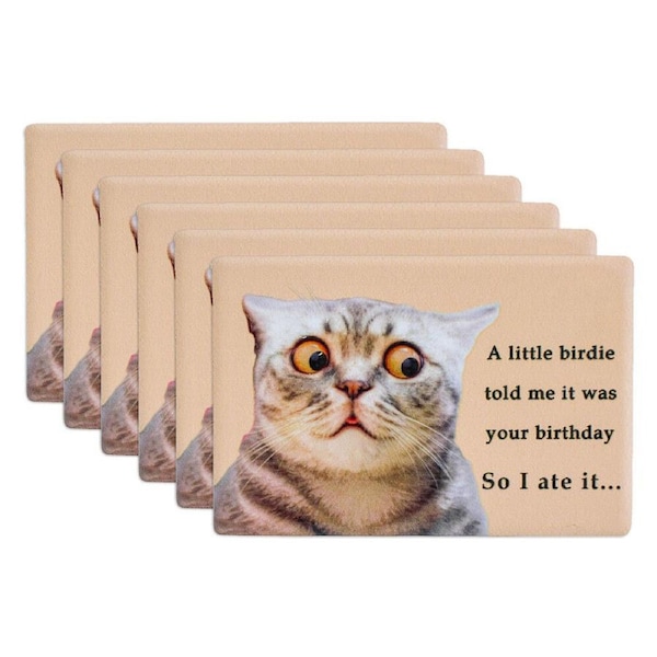 6x LVD Birdie Birthday Ceramic 9cm Fridge Magnet/Magnetic Kitchen Rectangle